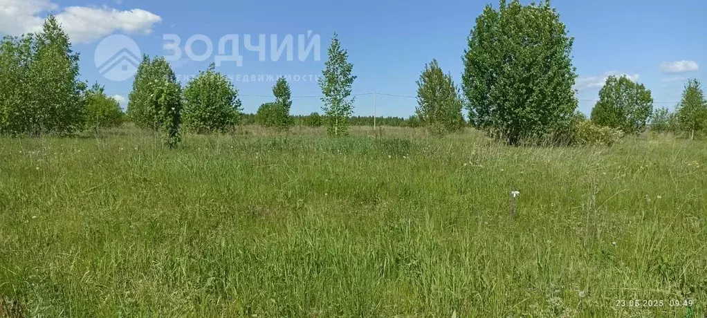 Участок в Чувашия, Чебоксарский муниципальный округ, д. Устакасы ул. ... - Фото 1