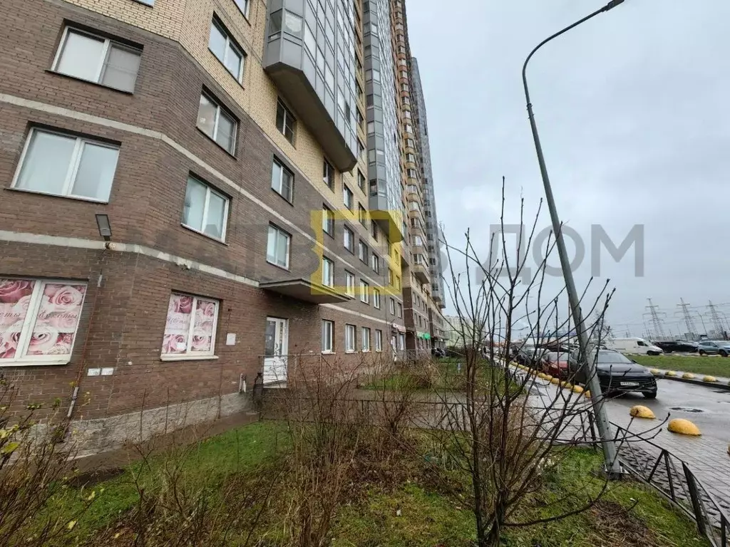 Помещение свободного назначения в Ленинградская область, Мурино ... - Фото 1