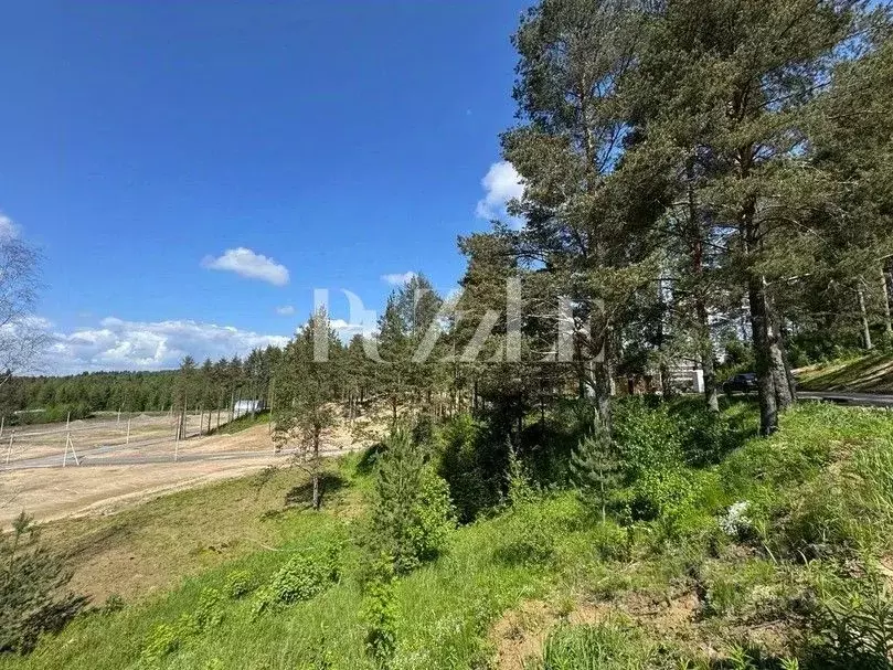 Участок в Ленинградская область, Всеволожский район, Бугровское ... - Фото 1