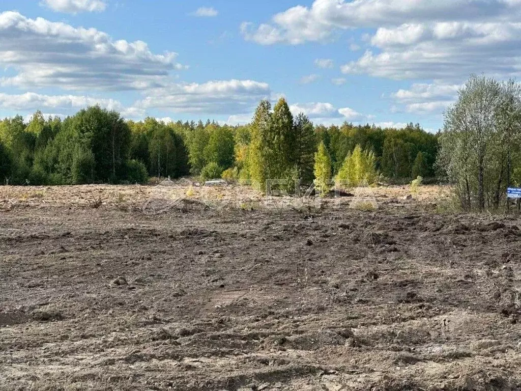 Участок в Тюменская область, Нижнетавдинский район, с. Тюнево  (10.0 ... - Фото 1