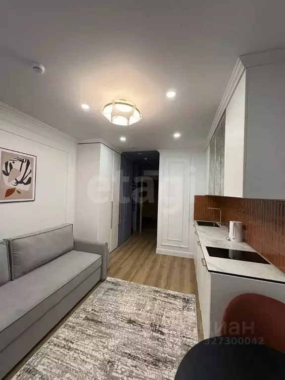 Студия Санкт-Петербург бул. Измайловский, 1к2 (20.0 м) - Фото 2