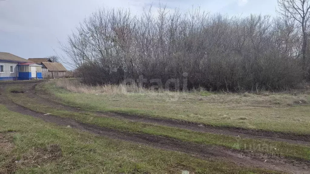 Участок в Воронежская область, Грибановский район, с. Листопадовка ... - Фото 0