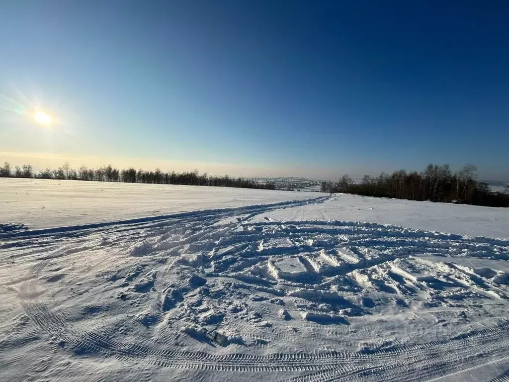 Участок в Иркутская область, Иркутский муниципальный округ, д. ... - Фото 2