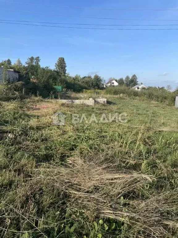 участок в владимирская область, гороховецкий район, куприяновское . - Фото 1