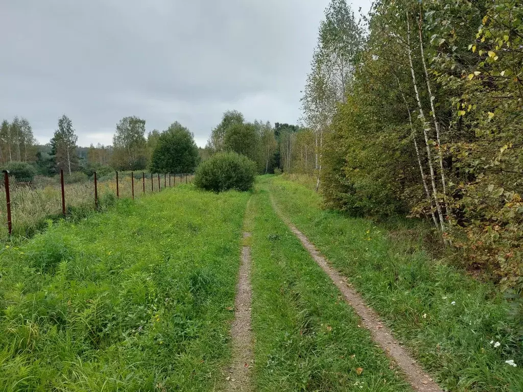 Участок в Тульская область, Заокский район, Демидовское с/пос, Ягодка ... - Фото 0