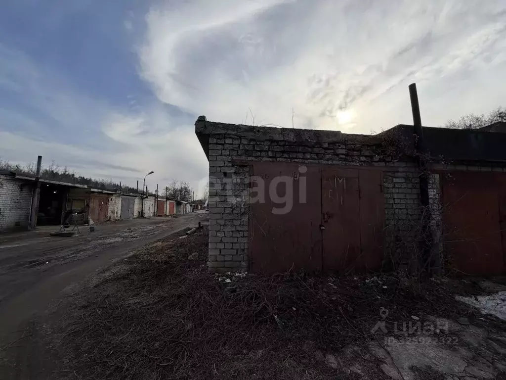 Гараж в Белгородская область, Белгород ГСК № 57 тер., 38 (19 м) - Фото 1