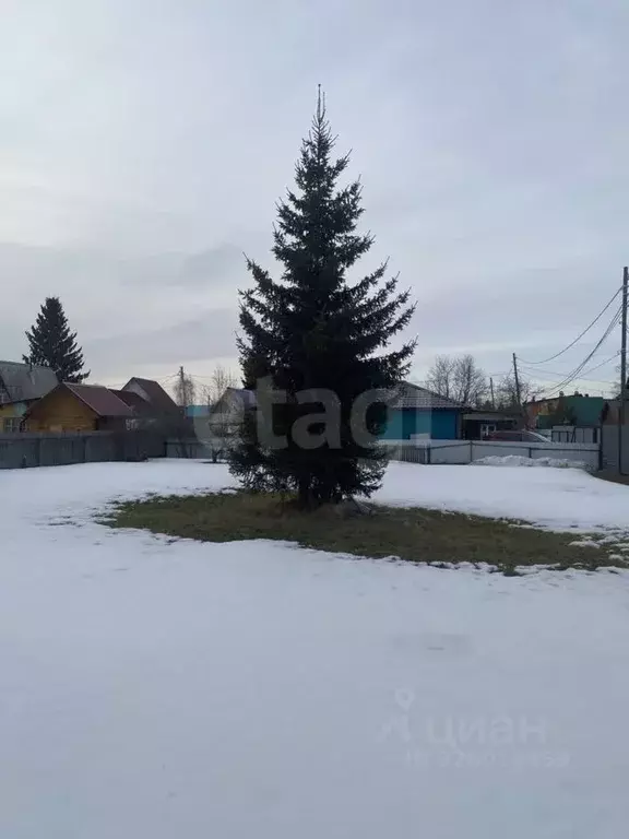 Участок в Тюменская область, Тюмень Собственников недвижимости Весна ... - Фото 1