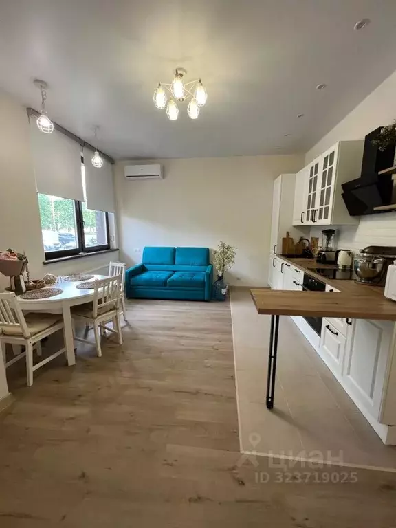 3-к кв. Московская область, Раменский муниципальный округ, Ильинский ... - Фото 2