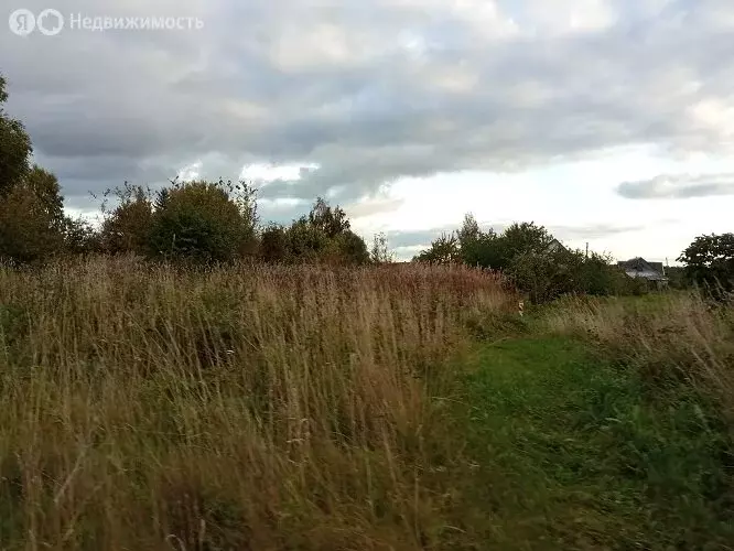 Участок в Псковский район, Тямшанская волость, деревня Тямша (100 м) - Фото 0