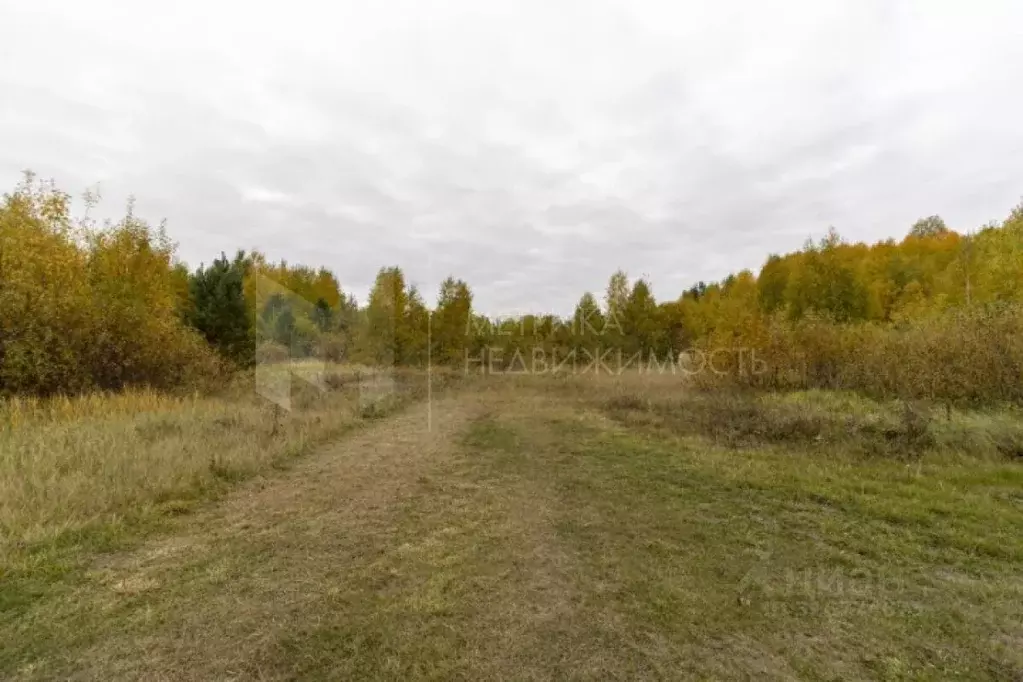 Участок в Тюменская область, Нижнетавдинский район, д. Московка  (25.0 ... - Фото 0