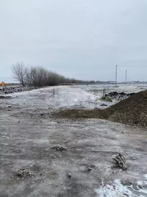 Участок в Ростовская область, Мясниковский район, Краснокрымское ... - Фото 2