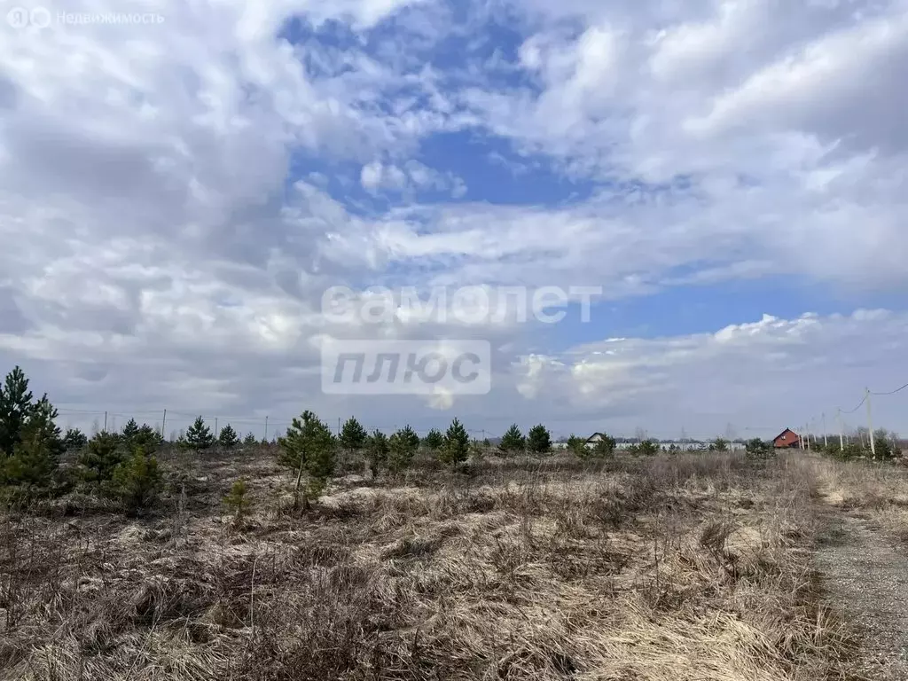 Участок в Липецкая область, Задонский муниципальный округ, село Казино ... - Фото 2