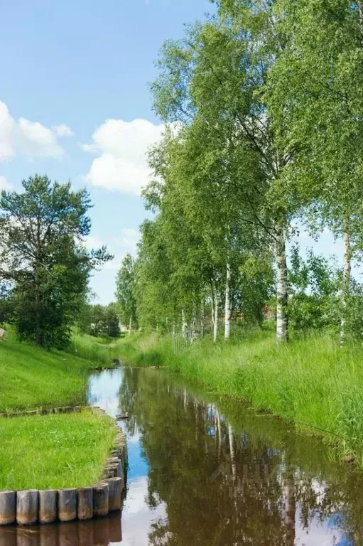Участок в Ленинградская область, Всеволожский район, Колтушское ... - Фото 1