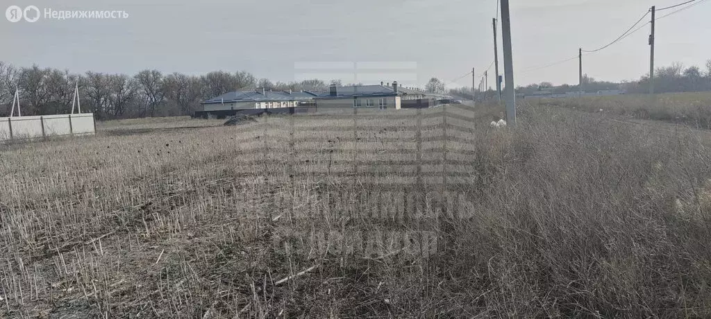 Участок в Неклиновский район, село Новобессергеневка (5 м) - Фото 1