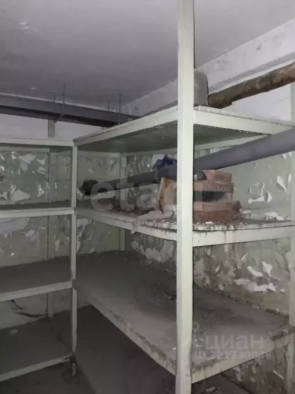 Помещение свободного назначения в Красноярский край, Красноярск ... - Фото 1