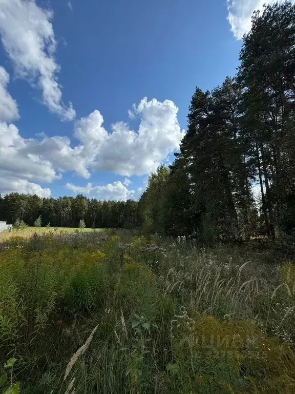 Участок в Московская область, Щелково городской округ, д. Здехово  ... - Фото 2