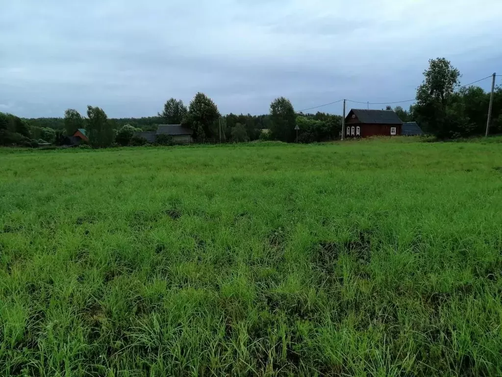 Участок в Московская область, Сергиево-Посадский городской округ, д. ... - Фото 0