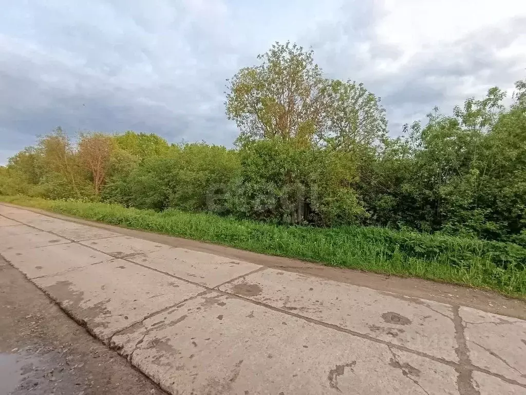 Участок в Архангельская область, Приморский муниципальный округ, ... - Фото 1