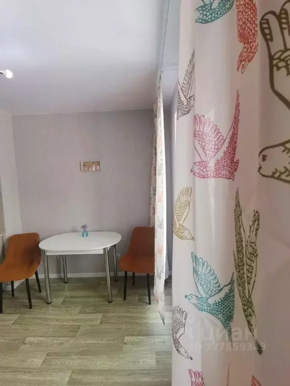 Студия Новосибирская область, Новосибирск Спортивная ул., 45 (22.0 м) - Фото 2