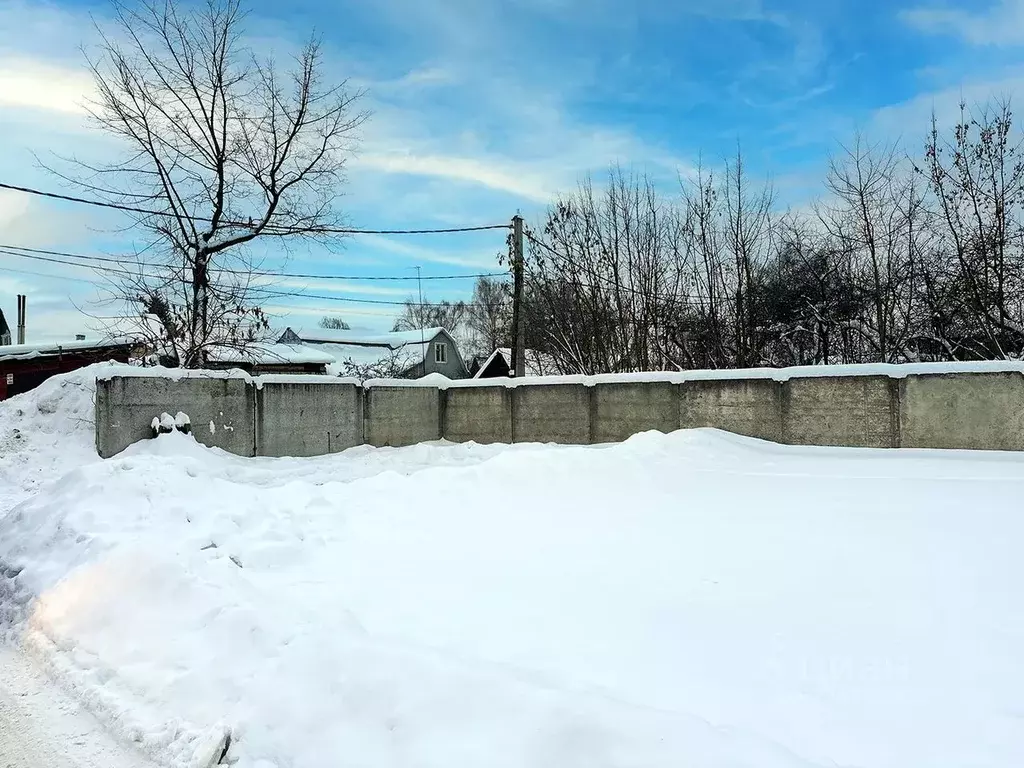 Участок в Московская область, Королев Первый кп, 39 (10.7 сот.) - Фото 2