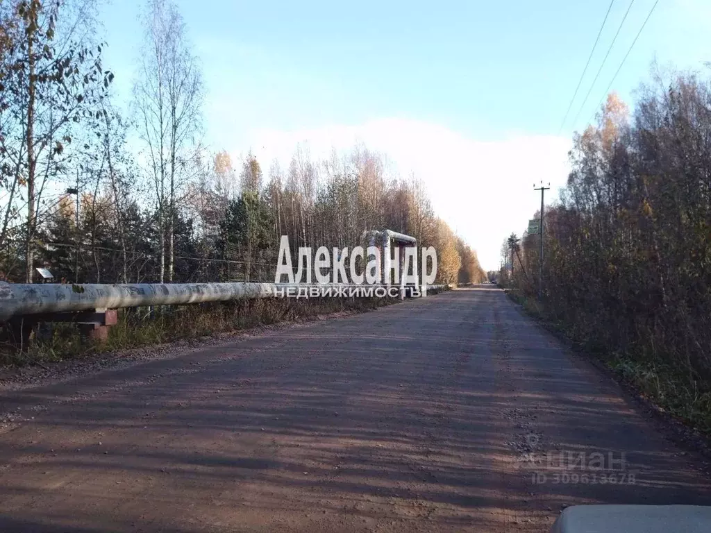 Участок в Ленинградская область, Всеволожское городское поселение, ... - Фото 1