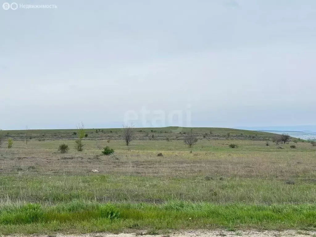 Участок в Красногвардейский район, село Марьяновка (467.56 м) - Фото 1