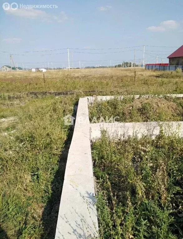 Участок в деревня Казадаевка, Звёздная улица, 24 (8 м) - Фото 2