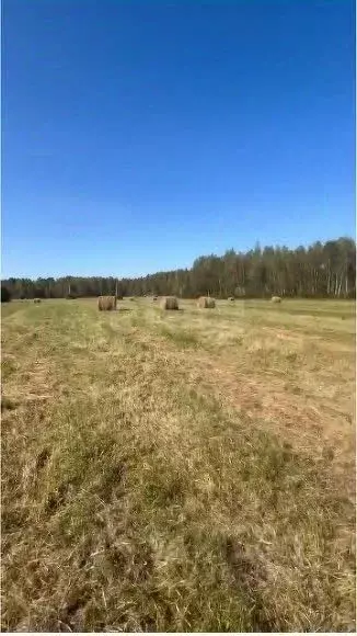 Участок в Ярославская область, Рыбинский муниципальный округ, д. ... - Фото 2
