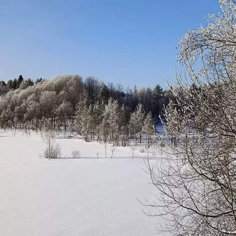 Дом в Карелия, Суоярвский муниципальный округ, с. Вешкелица ул. ... - Фото 2