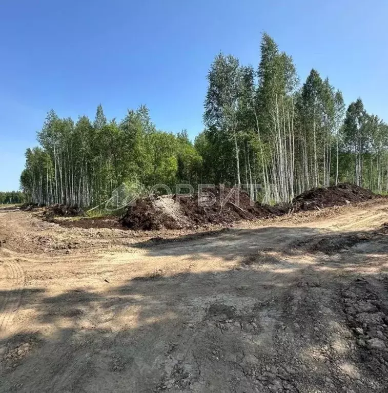 Участок в Тюменская область, Нижнетавдинский район, Строитель ТСН ул. ... - Фото 0