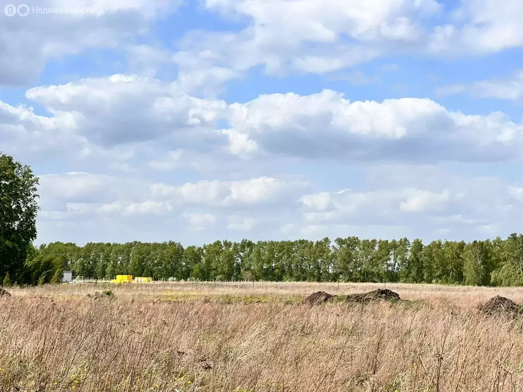 Участок в Первомайский район, посёлок Новый, Берёзовская улица (6 м) - Фото 1