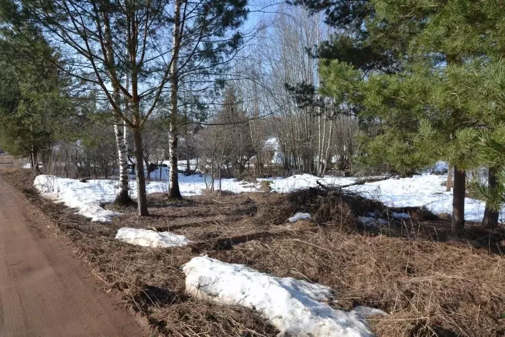 Участок в Тверская область, Осташковский муниципальный округ, д. ... - Фото 2