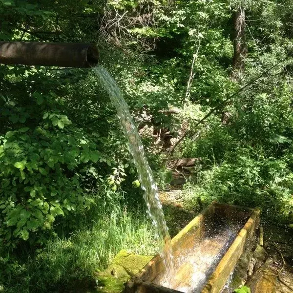 Участок в Пензенская область, Пензенский район, Саловский сельсовет, ... - Фото 2