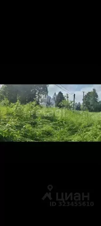 Участок в Ярославская область, Первомайский муниципальный округ, с. ... - Фото 1