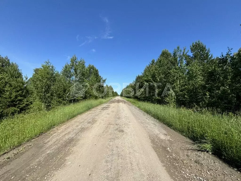 Участок в Тюменская область, Нижнетавдинский район, Аракчино СНТ ул. ... - Фото 0