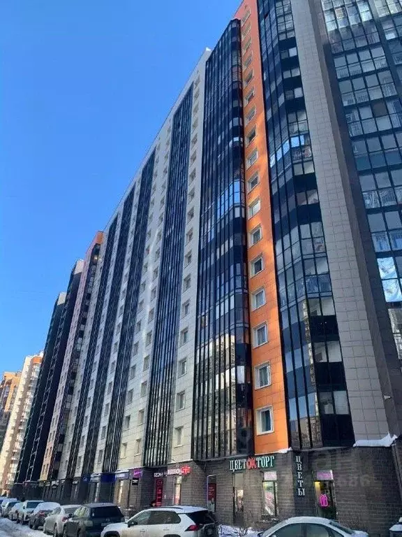 Студия Ленинградская область, Мурино Всеволожский район, ул. Шувалова, ... - Фото 2