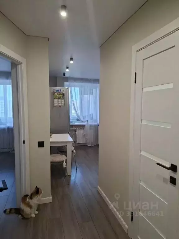 1-к кв. Татарстан, Казань ул. Серова, 13 (40.0 м) - Фото 2