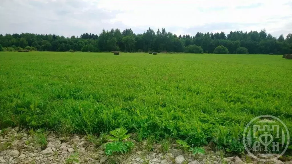 Участок в Ленинградская область, Волосовский район, Клопицкое с/пос, ... - Фото 0