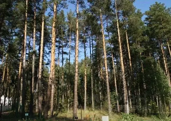 Участок в Московская область, Одинцовский городской округ, д. Калчуга  ... - Фото 2