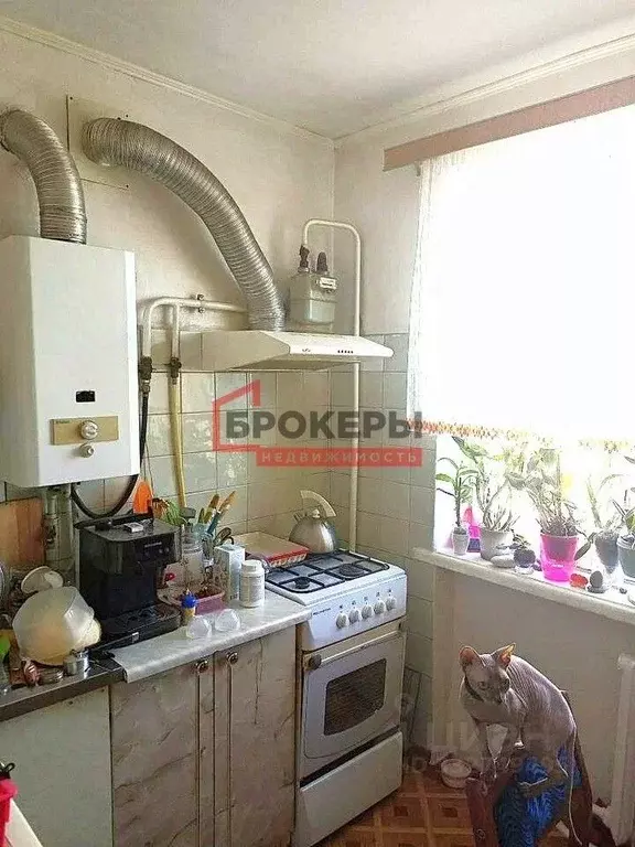 2-к кв. Севастополь просп. Генерала Острякова, 7 (43.4 м) - Фото 2