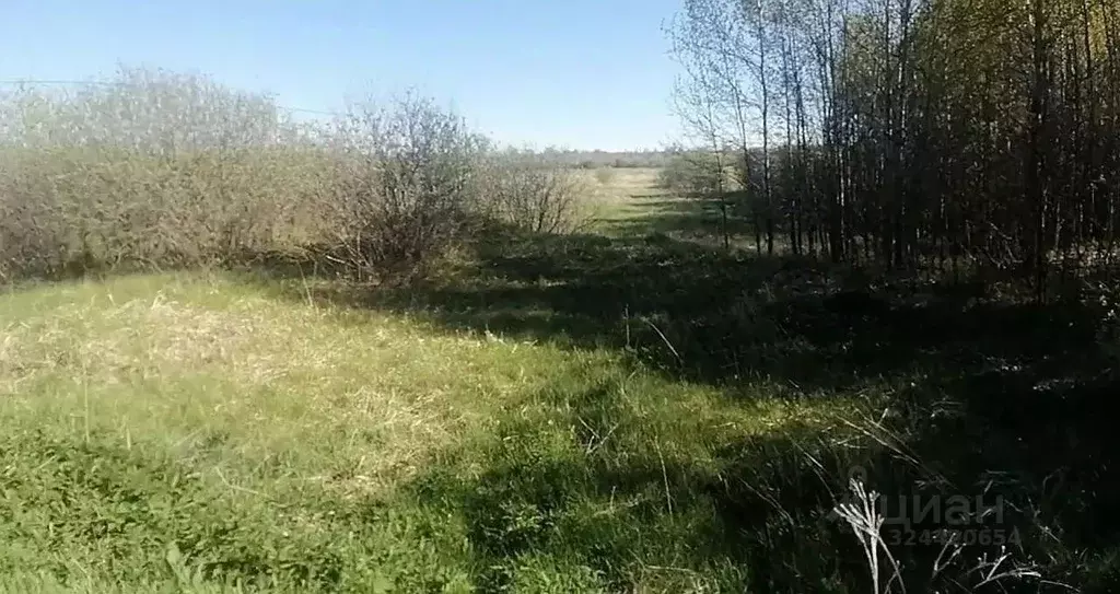 Участок в Тюменская область, Тюменский муниципальный округ, с. Муллаши ... - Фото 2