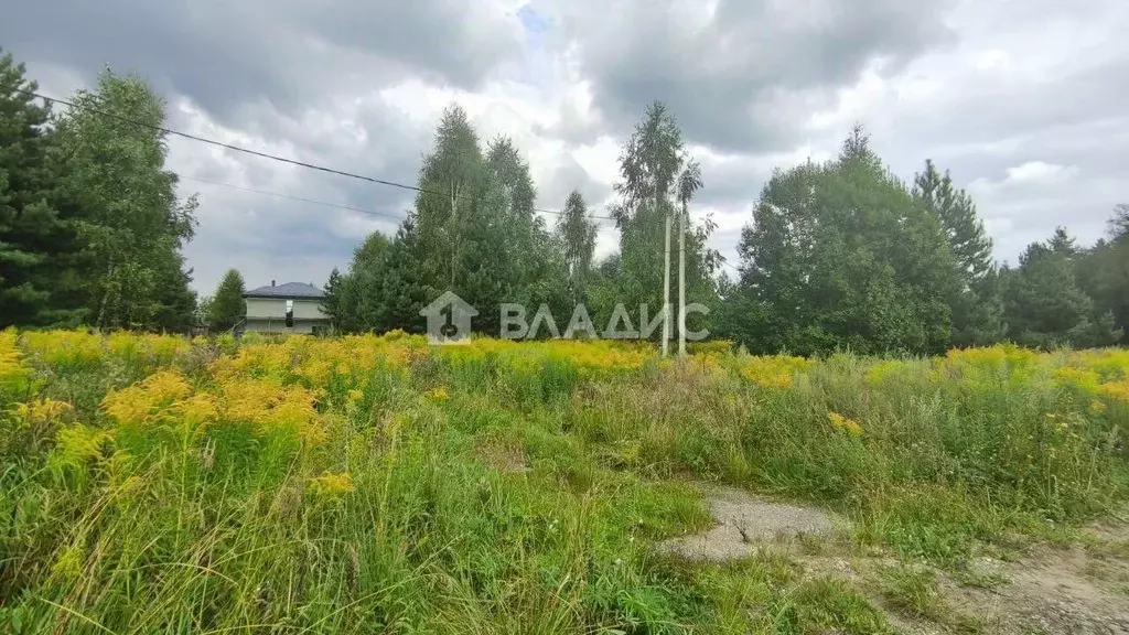 Участок в Владимирская область, Владимир д. Никулино, проезд 1-й ... - Фото 0