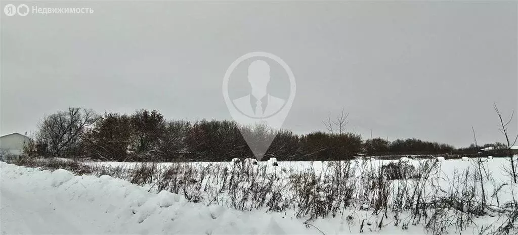 Участок в Рязанская область, Рыбновский муниципальный округ, село ... - Фото 1