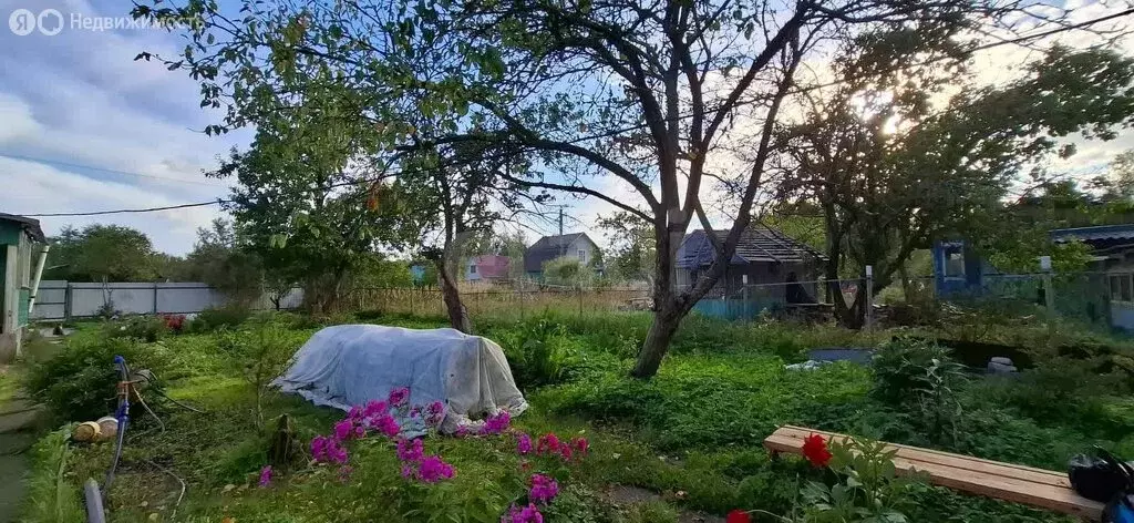 Дом в Тверская область, Калининский муниципальный округ, СНТ Дружба ... - Фото 1