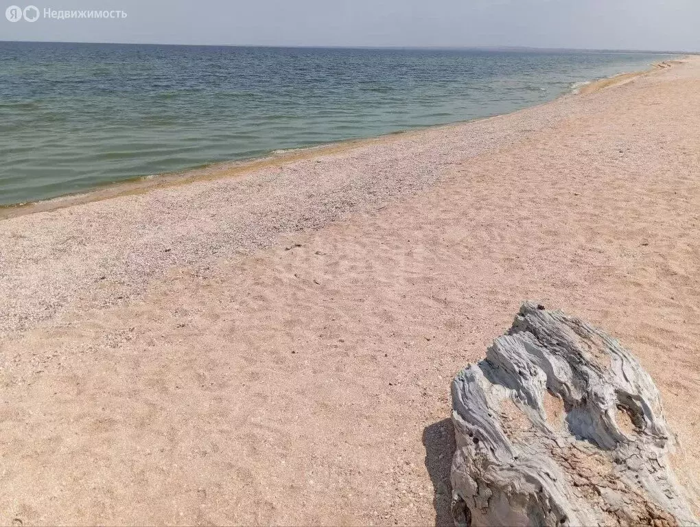 Участок в Каменское, Цветочная улица (7.5 м) - Фото 2