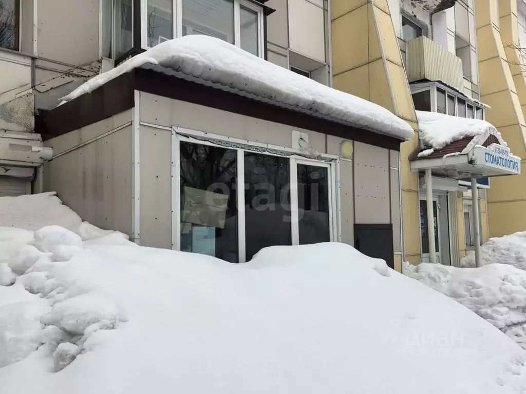 Офис в Камчатский край, Петропавловск-Камчатский ул. Тушканова, 3 (46 ... - Фото 2