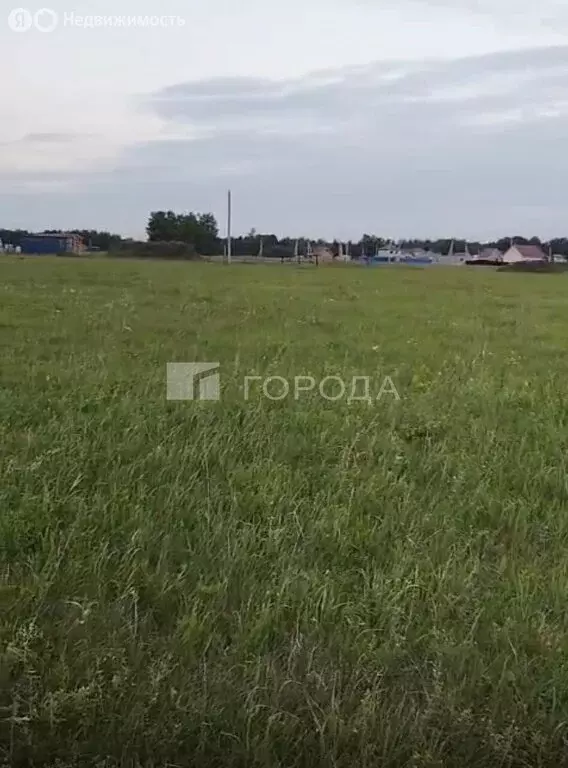 Участок в Новосибирский район, Морской сельсовет, ДНТ Усадьба (10.6 м) - Фото 1