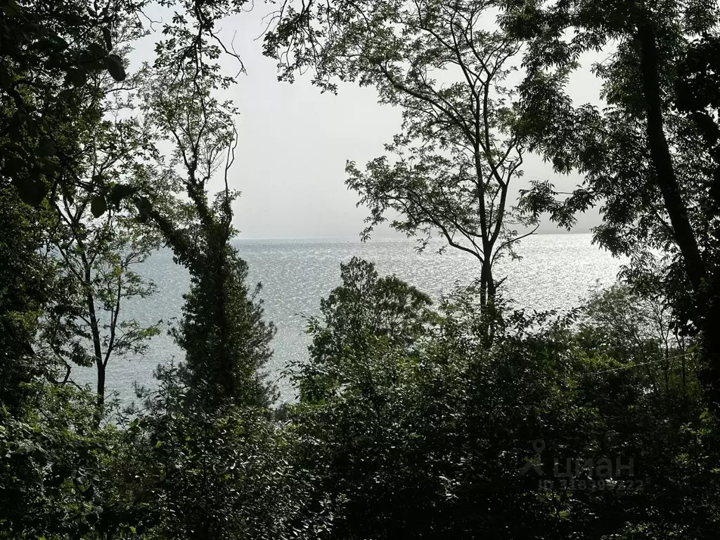 Участок в Краснодарский край, Сочи Сухумское ш., 23/6 (4.0 сот.) - Фото 1