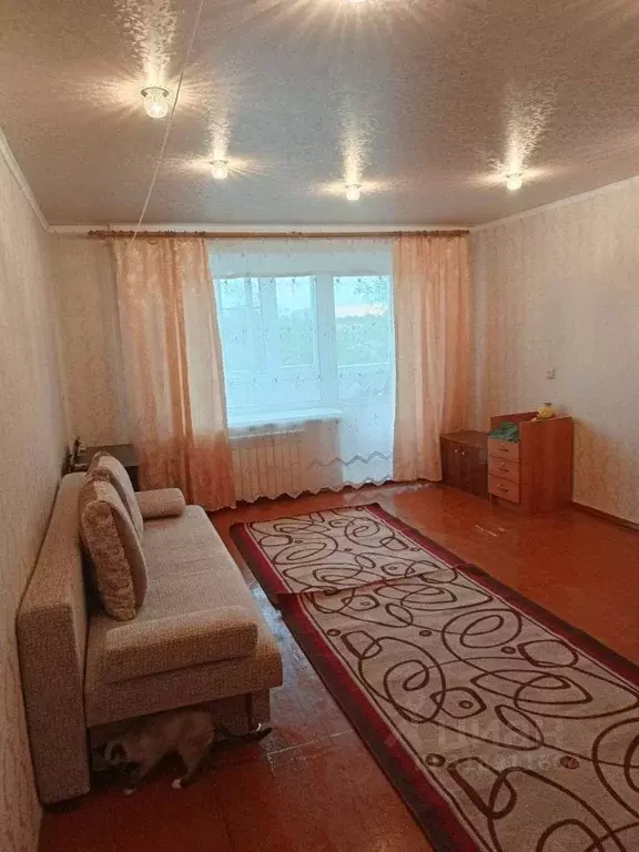 1-к кв. Челябинская область, Троицк Пионерская ул., 70 (36.0 м) - Фото 0