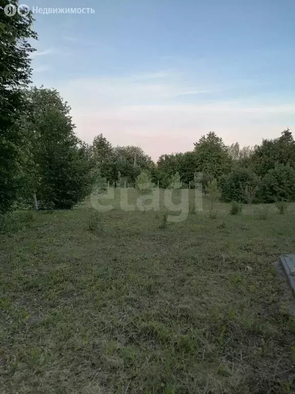 Участок в Калининградская область, Черняховский муниципальный округ, ... - Фото 1